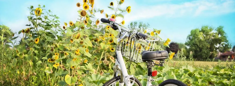 5 wyjątkowych miejsc w Europie na letnią wycieczkę rowerową