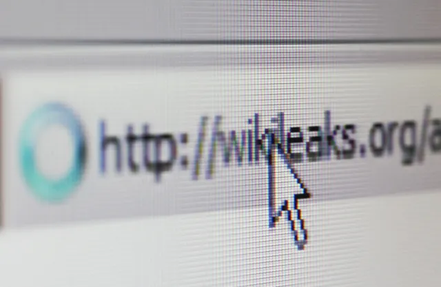 Głębokie gardło WikiLeaks winne