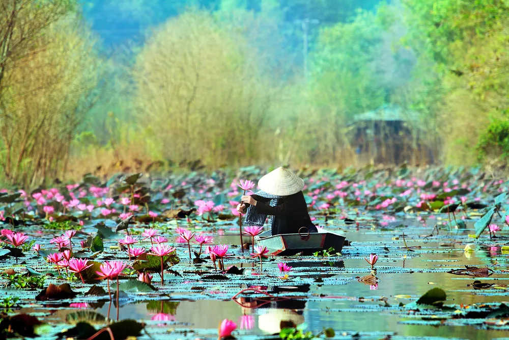 2142984-hanoi-wietnam.jpg