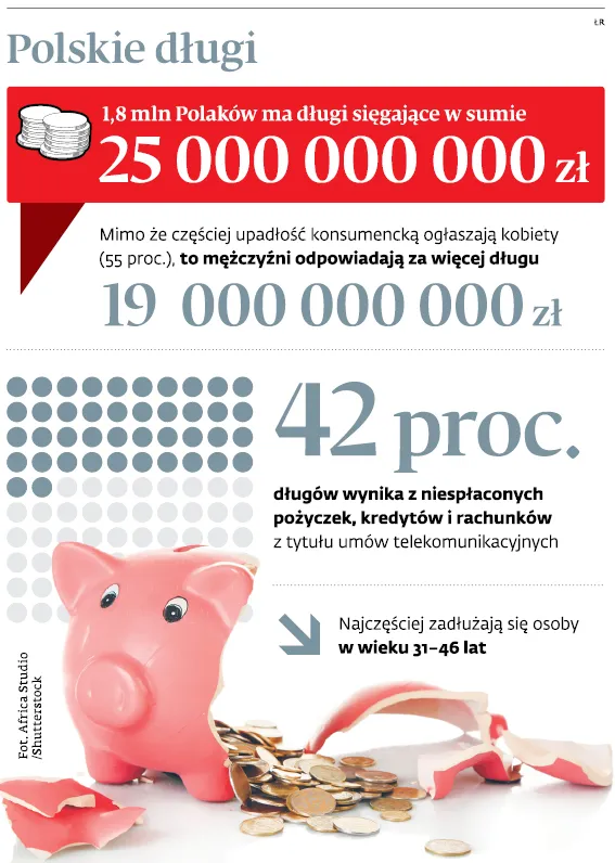 3193737-polskie-dlugi.jpg