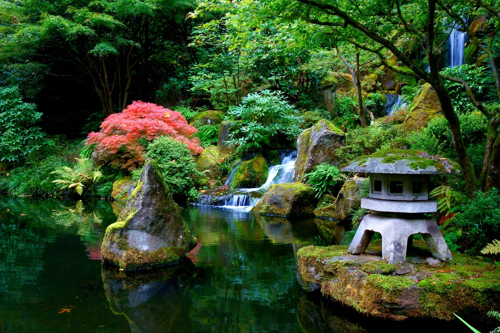 3321123-ogrod-japonski.jpg