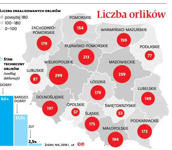 3324967-liczba-orlikow.jpg