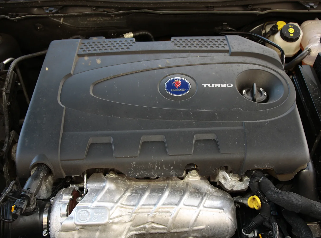 1780503-am-1169.jpg