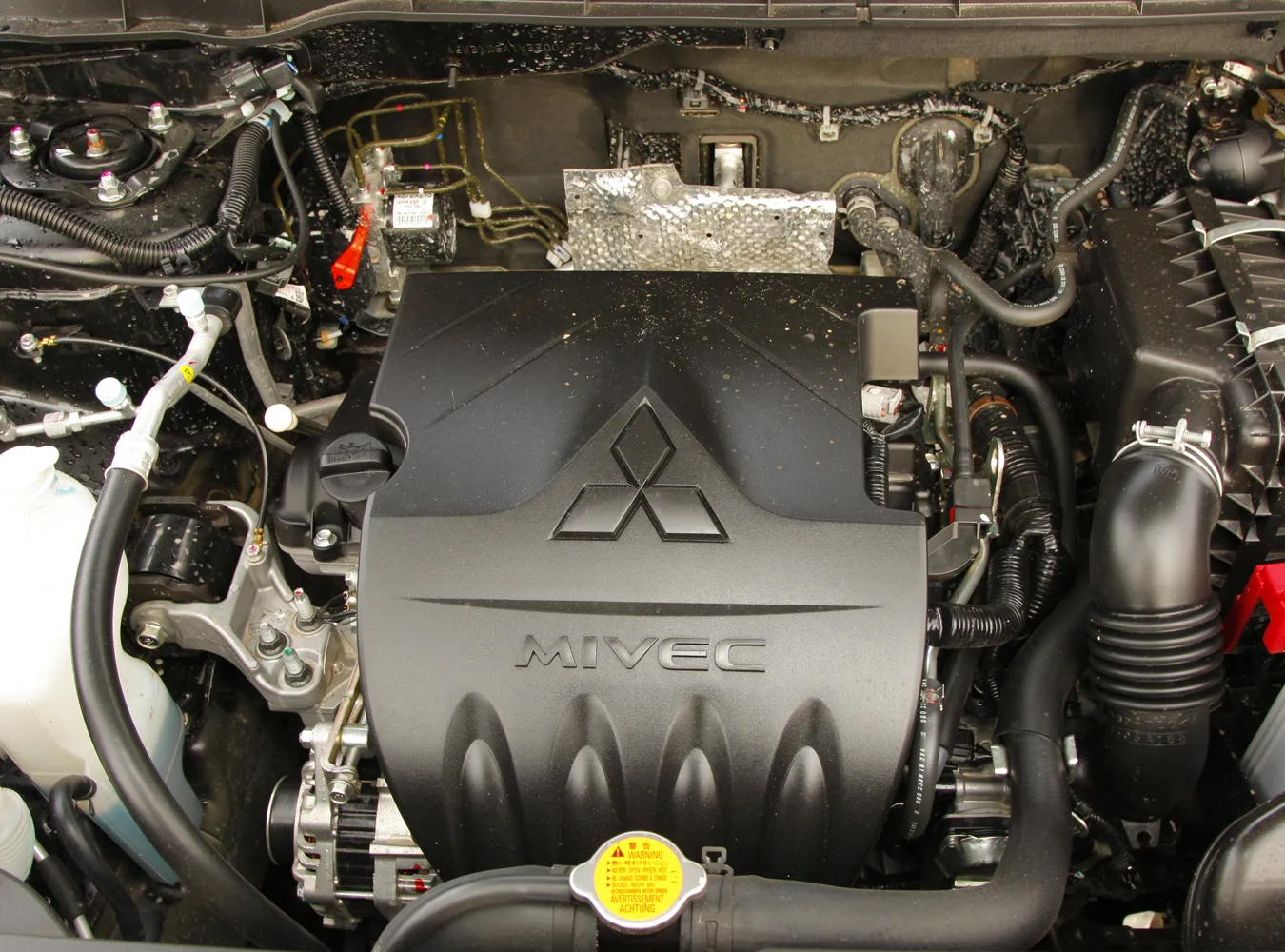 am_8931_1684103.jpg