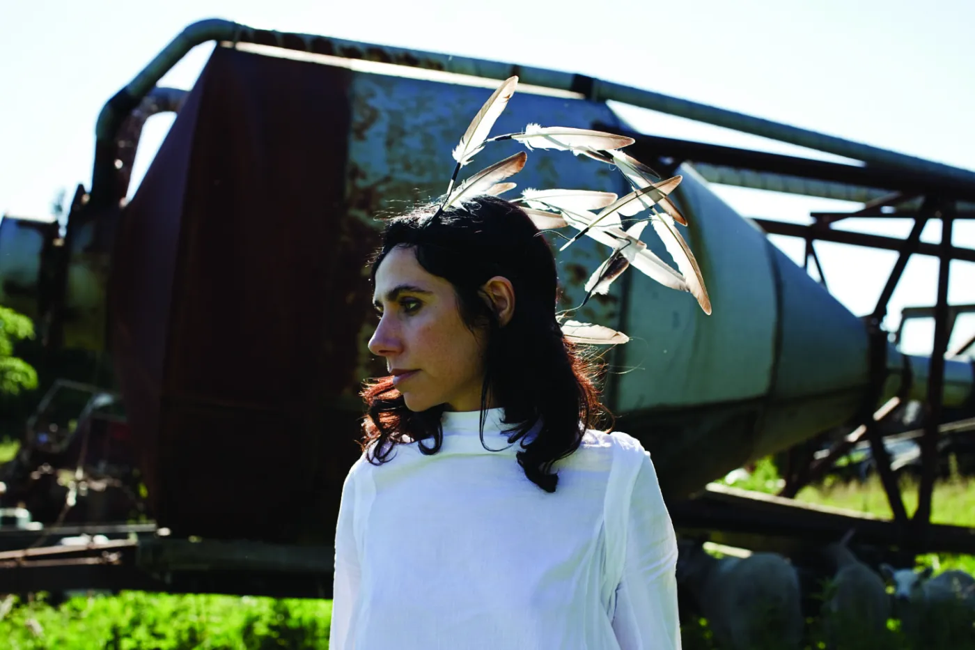 Buntowniczka PJ Harvey