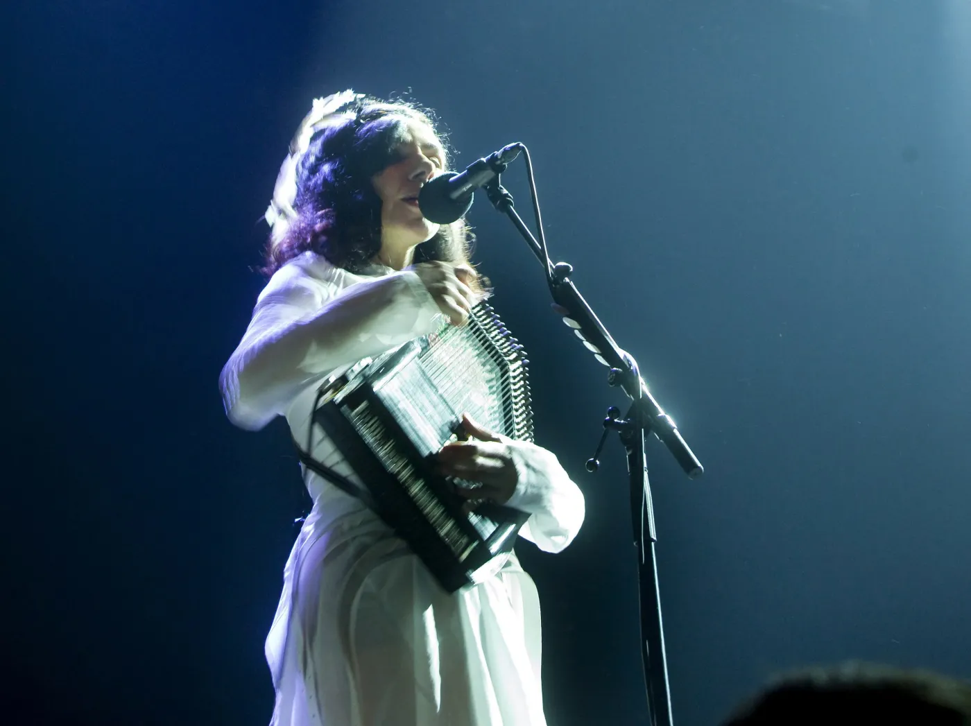 2235913-pj-harvey.jpg