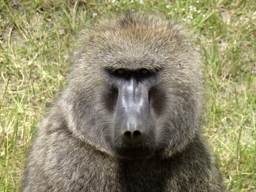 2424940-p1000815.jpg