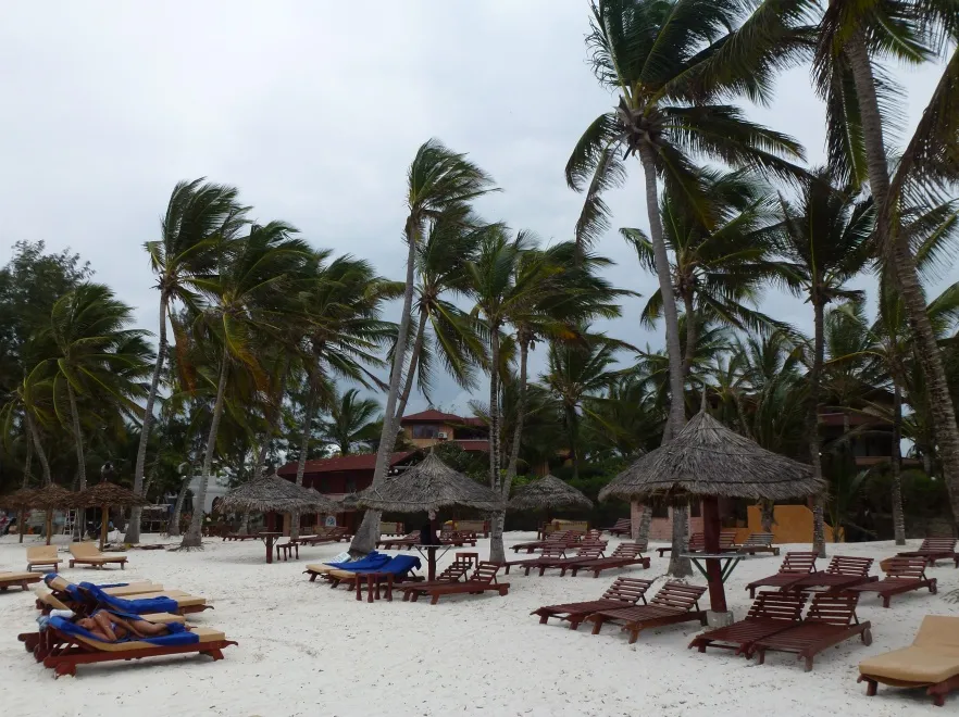2425151-p1000931.jpg