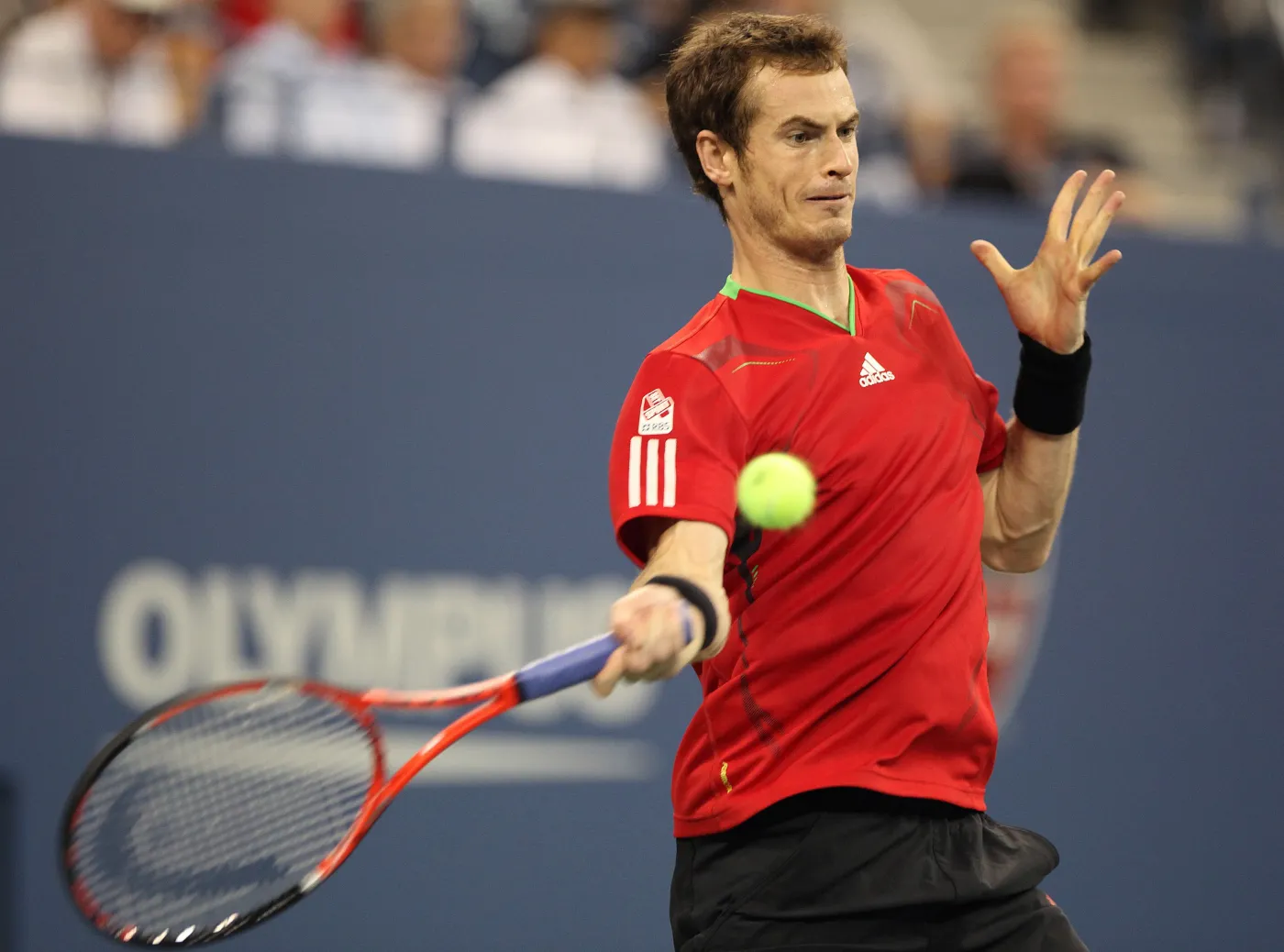 Murray lepszy od Nadala w finale w Tokio
