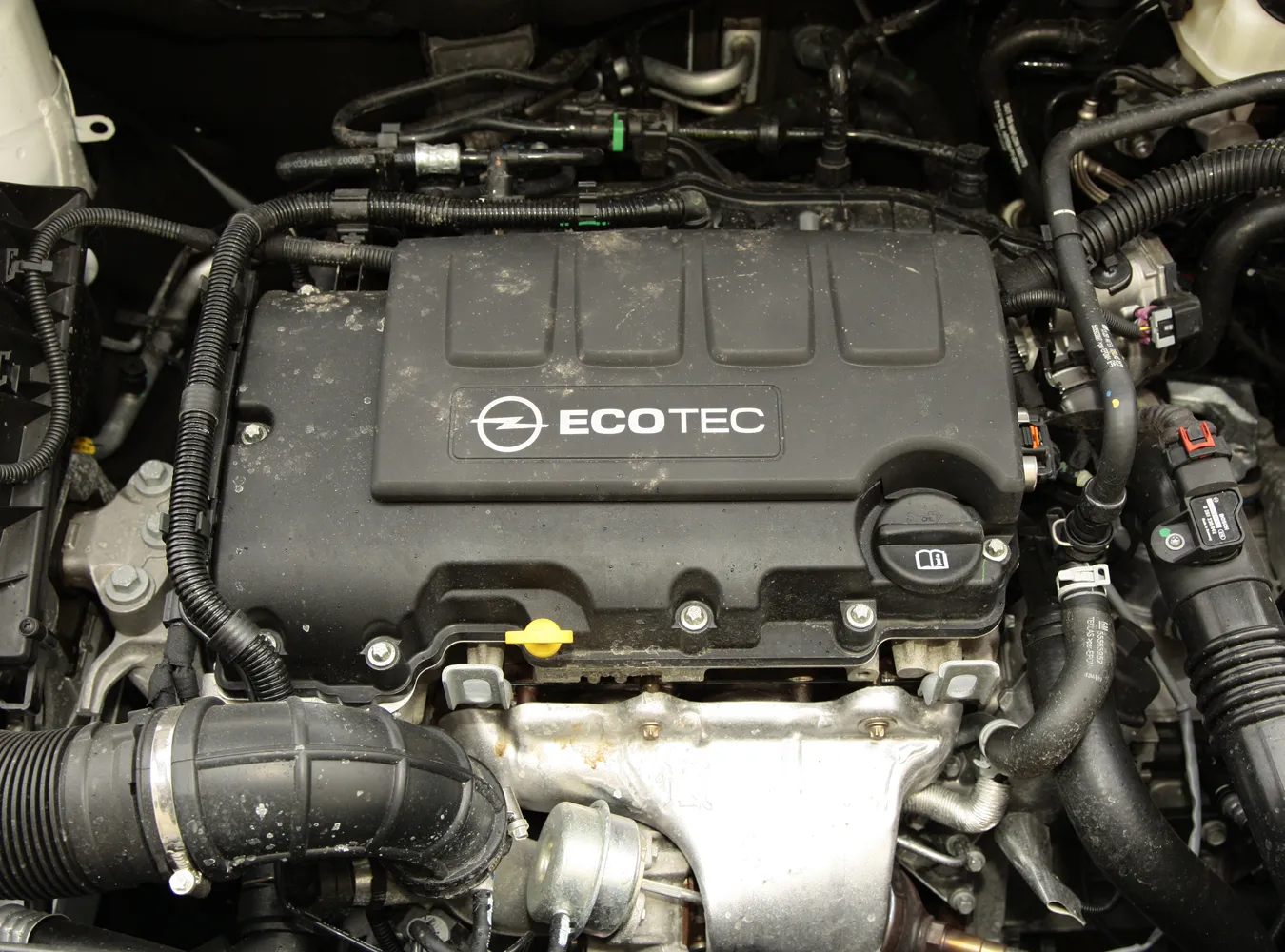 1775520-am-5035.jpg