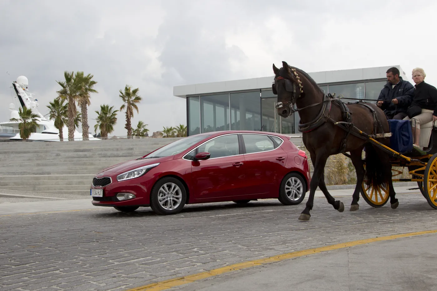 3391454-kia-cee-d.jpg