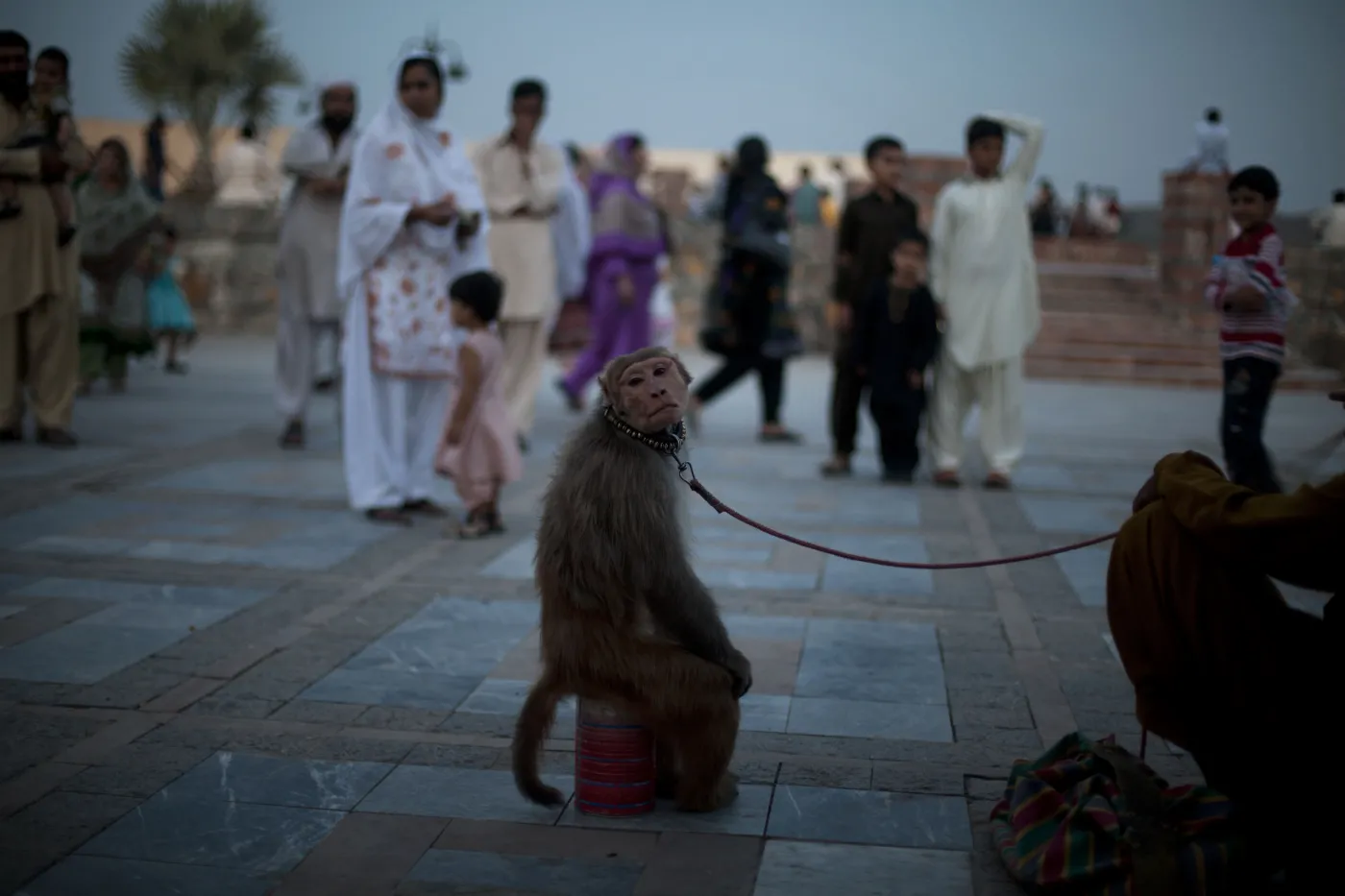 3687263-pakistan.jpg