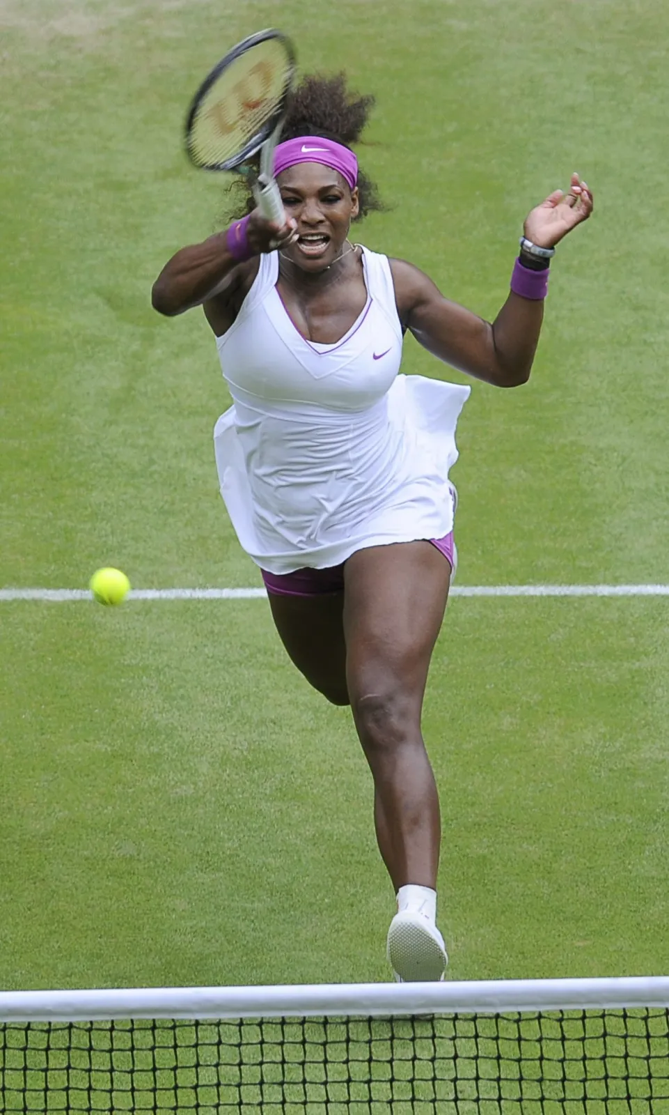 3741106-williams.jpg