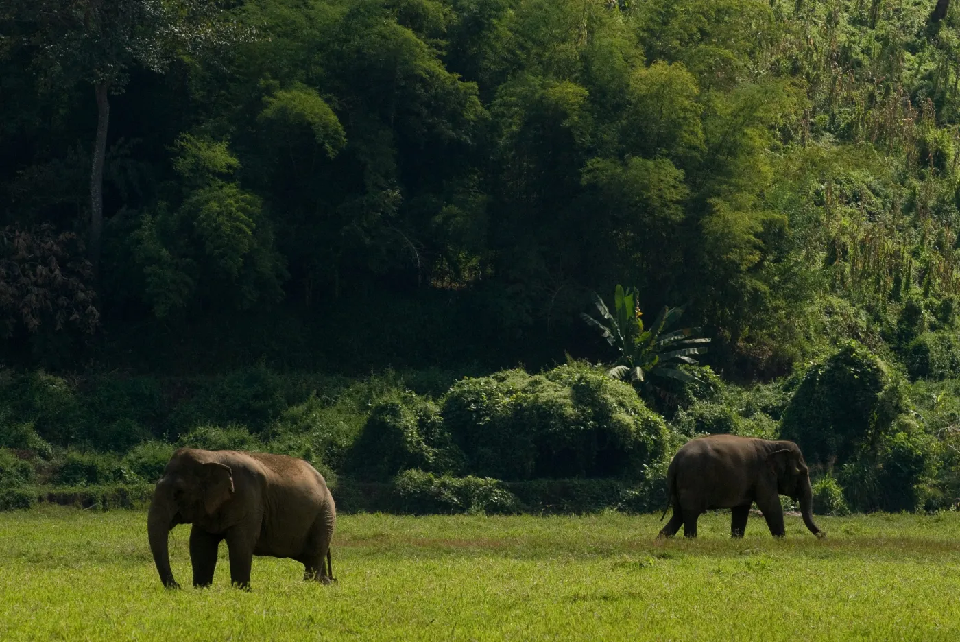 Thailand