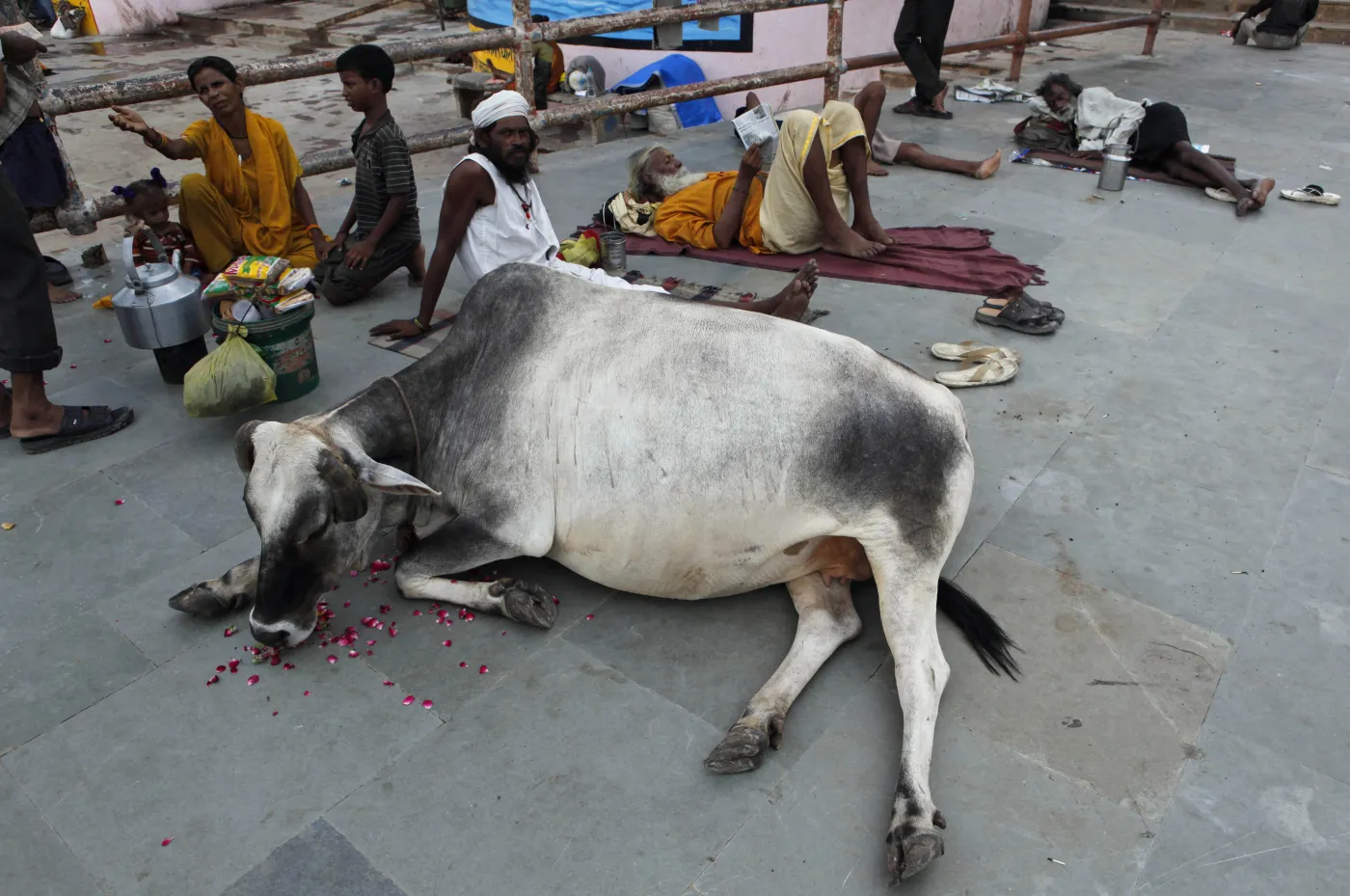 3768007-waranasi.jpg