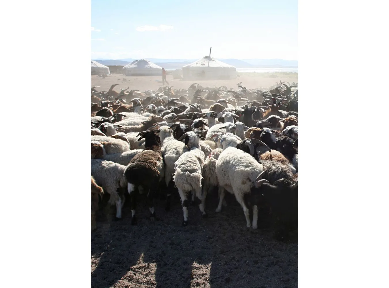 3483070-kazachstan.jpg