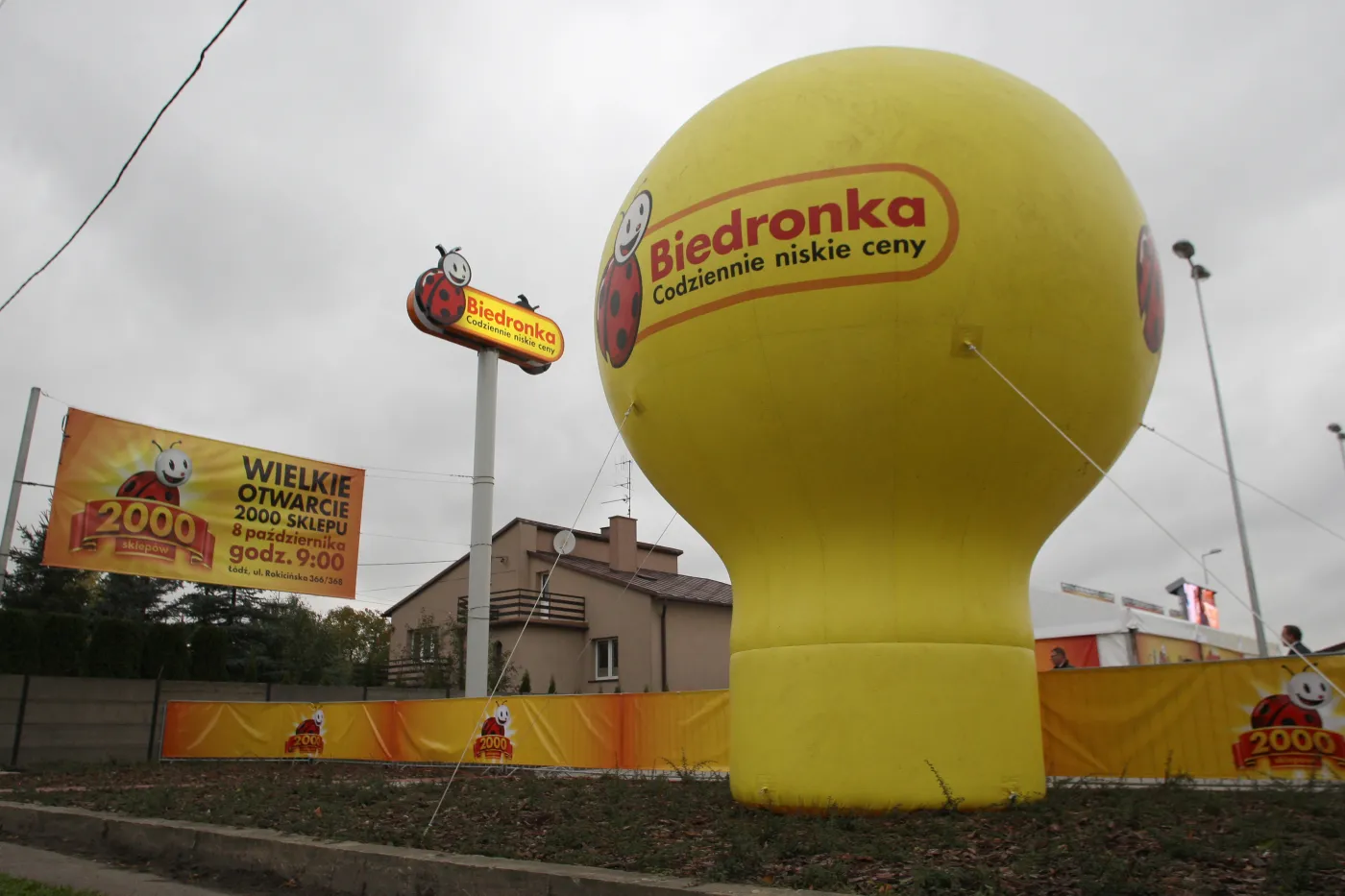 4124979-biedronka.jpg