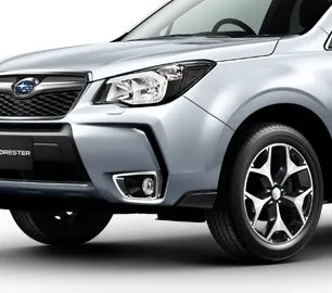 4232101-forester-1.jpg