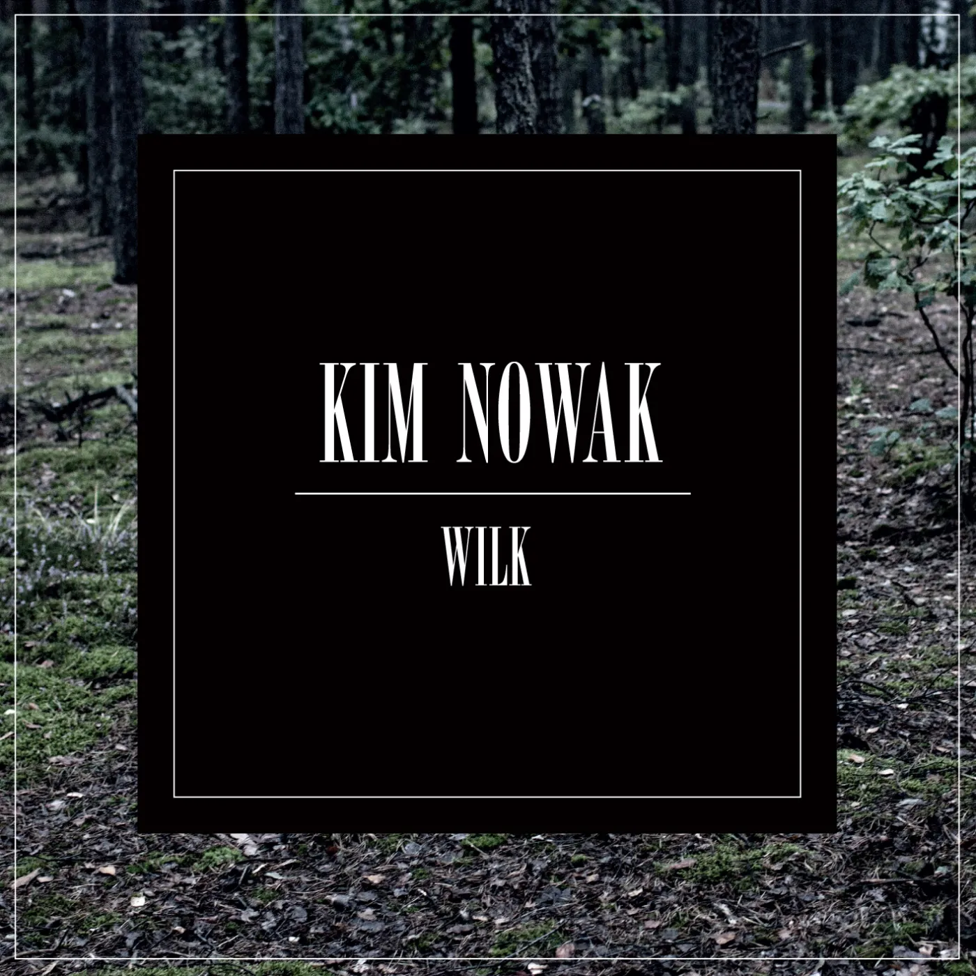 4164151-kim-nowak.jpg