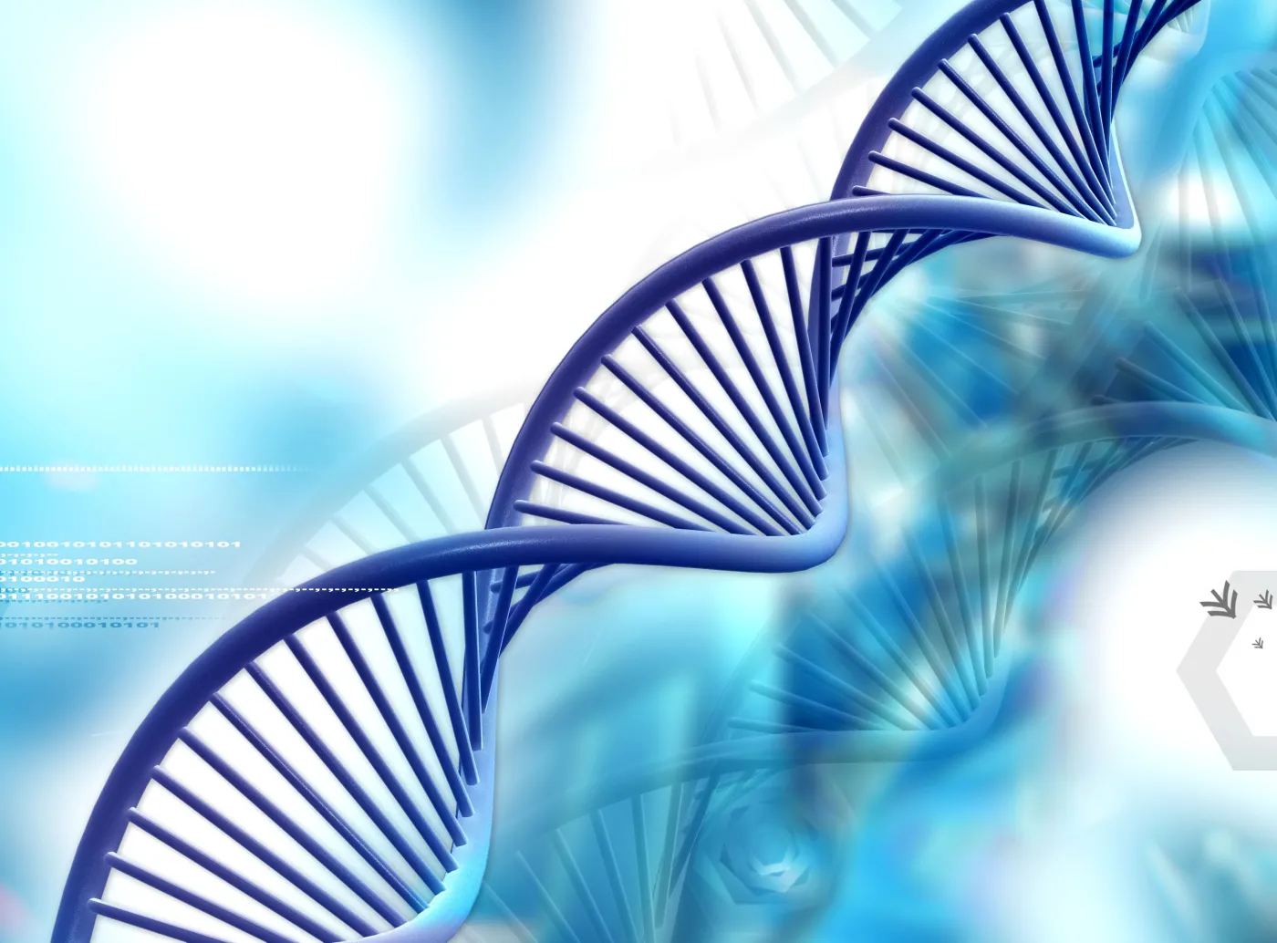 DNA gen