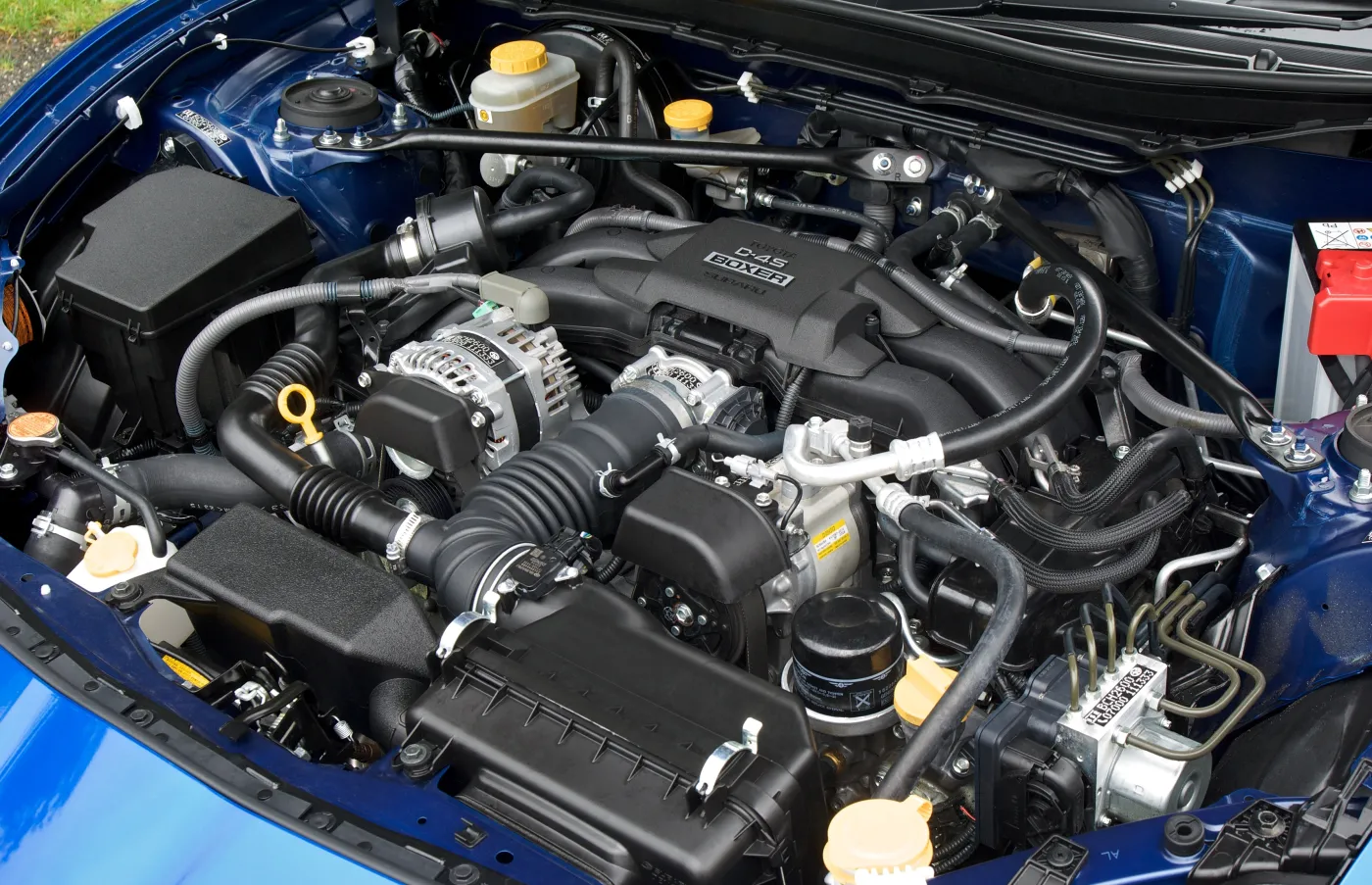 4541313-im-3120.jpg
