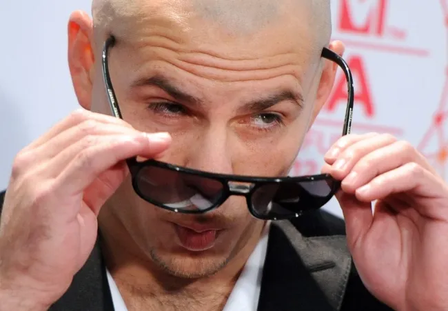 4261625-pitbull.jpg