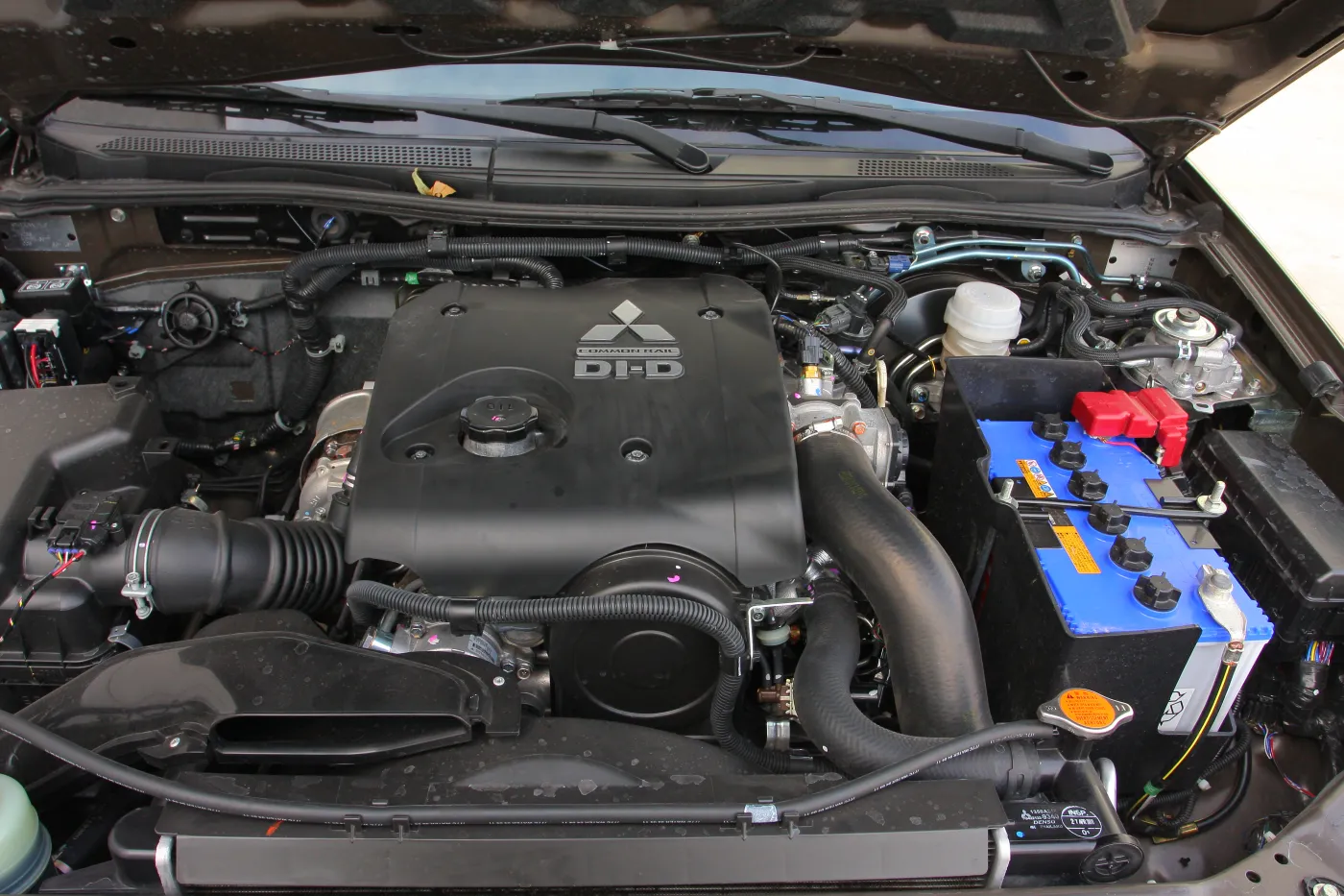 4315076-img-9113.jpg