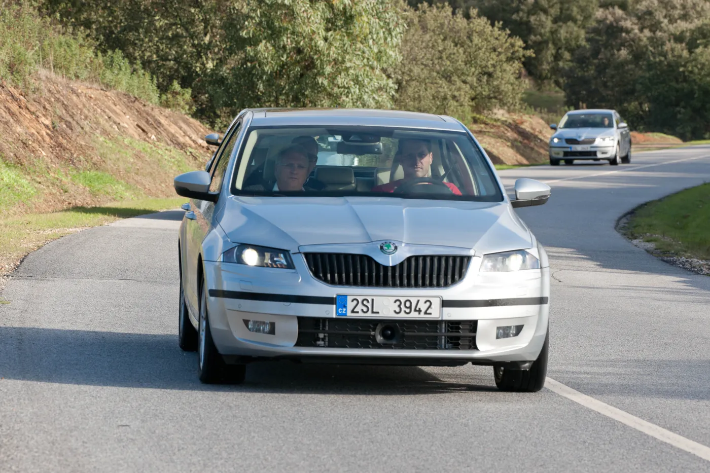 4290833-sk12x251.jpg