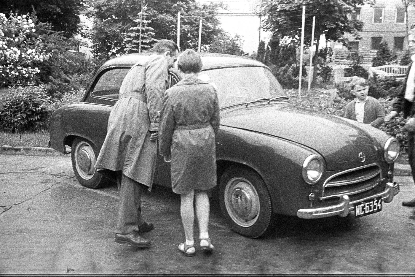   Syrena