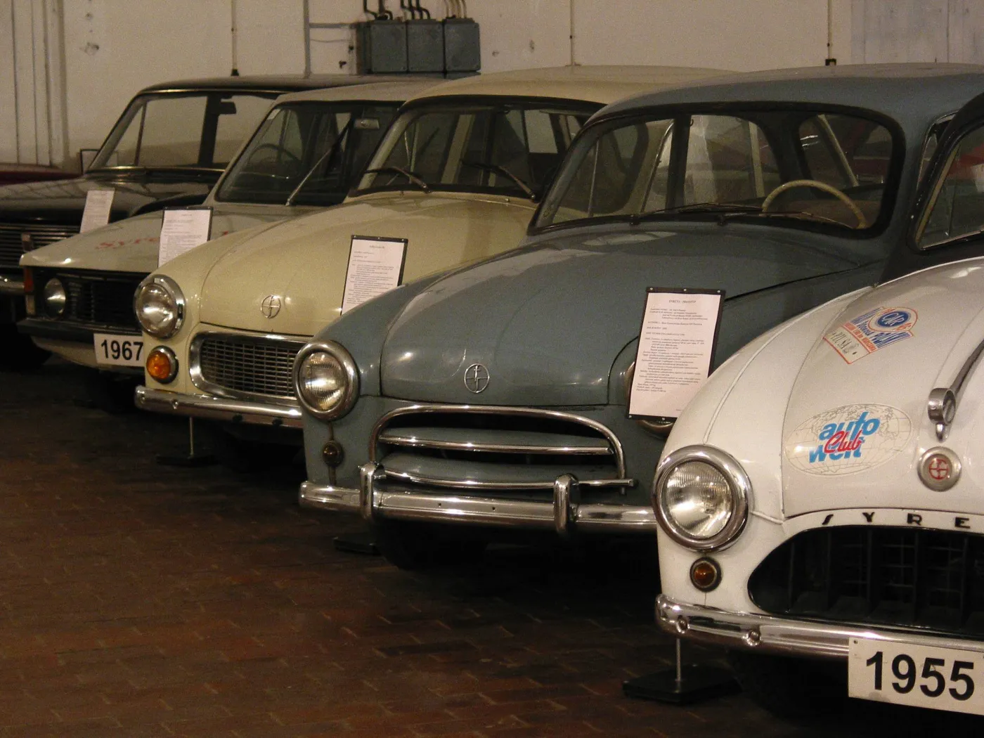   Syrena