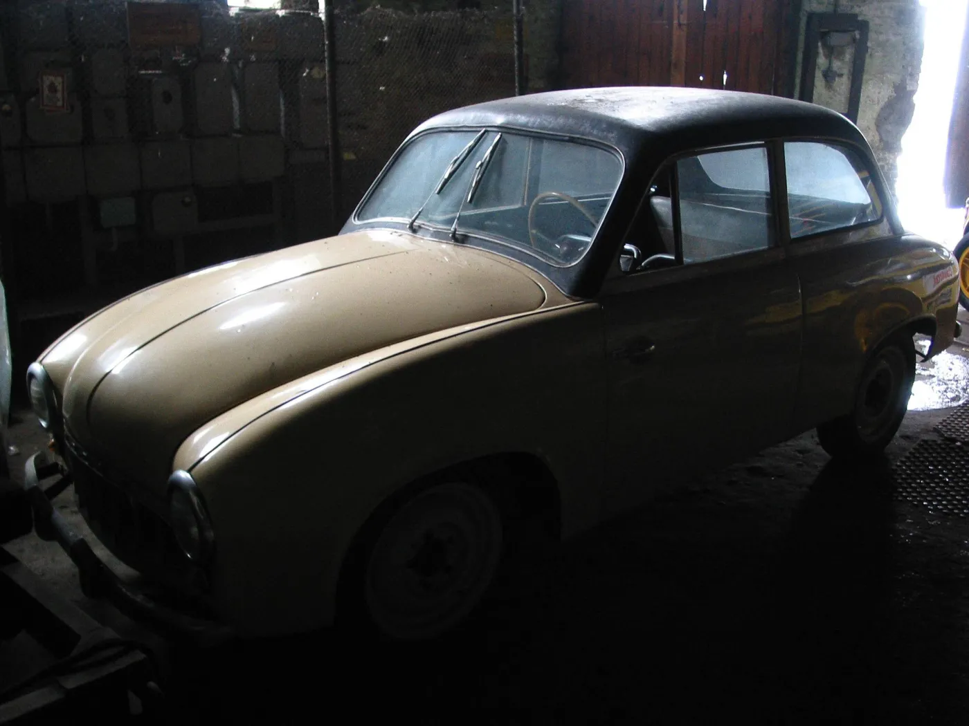   Syrena