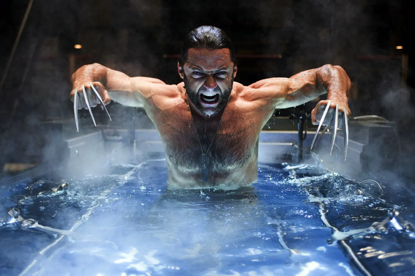 Wolverine