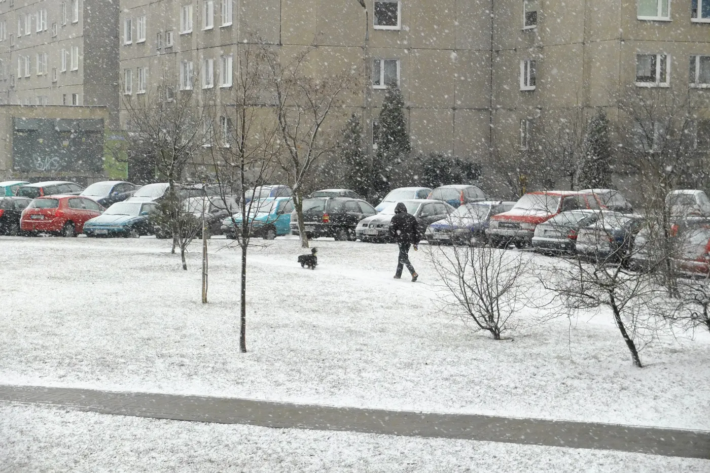 4792264-atak-zimy.jpg