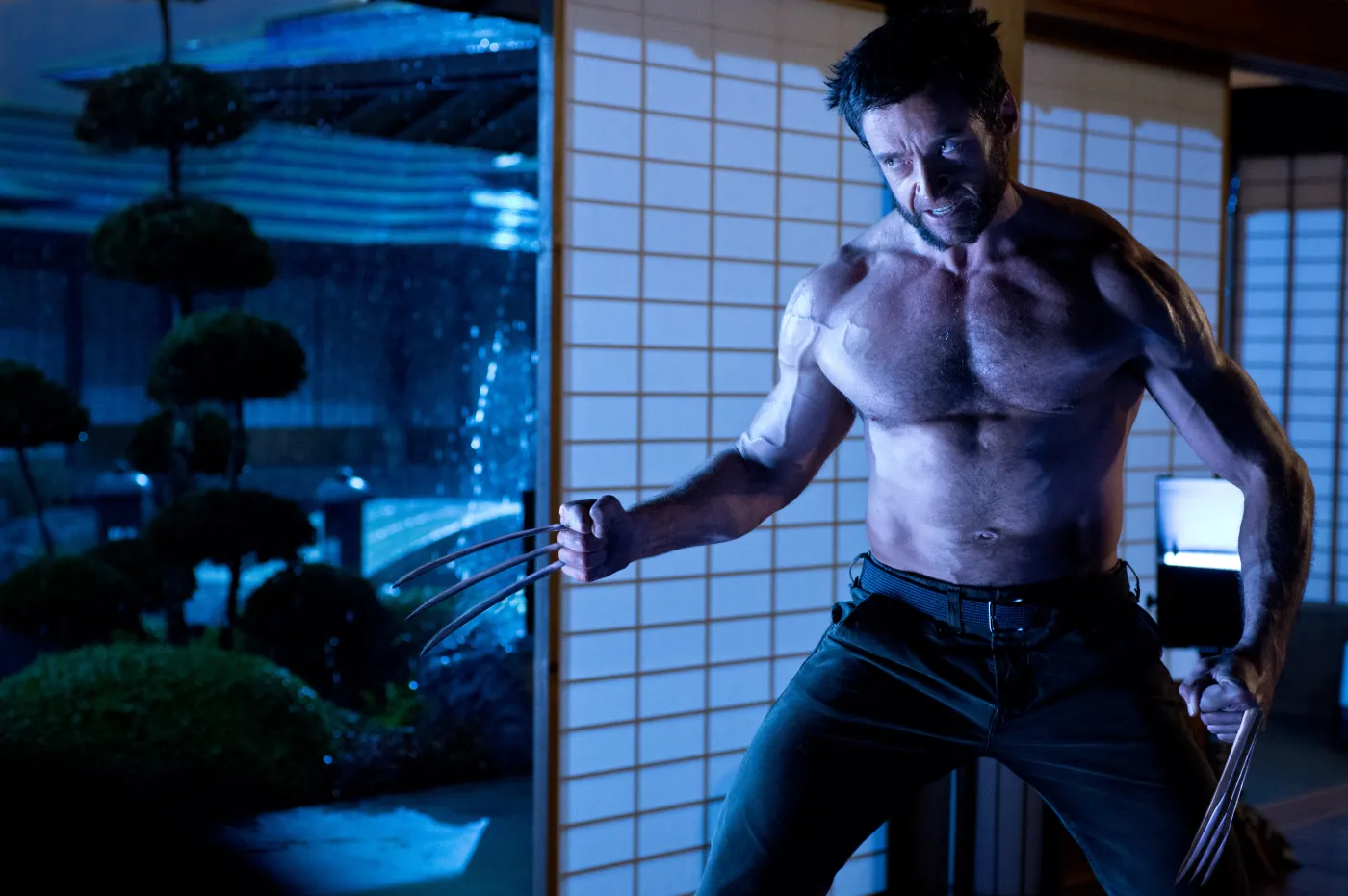 Wolverine