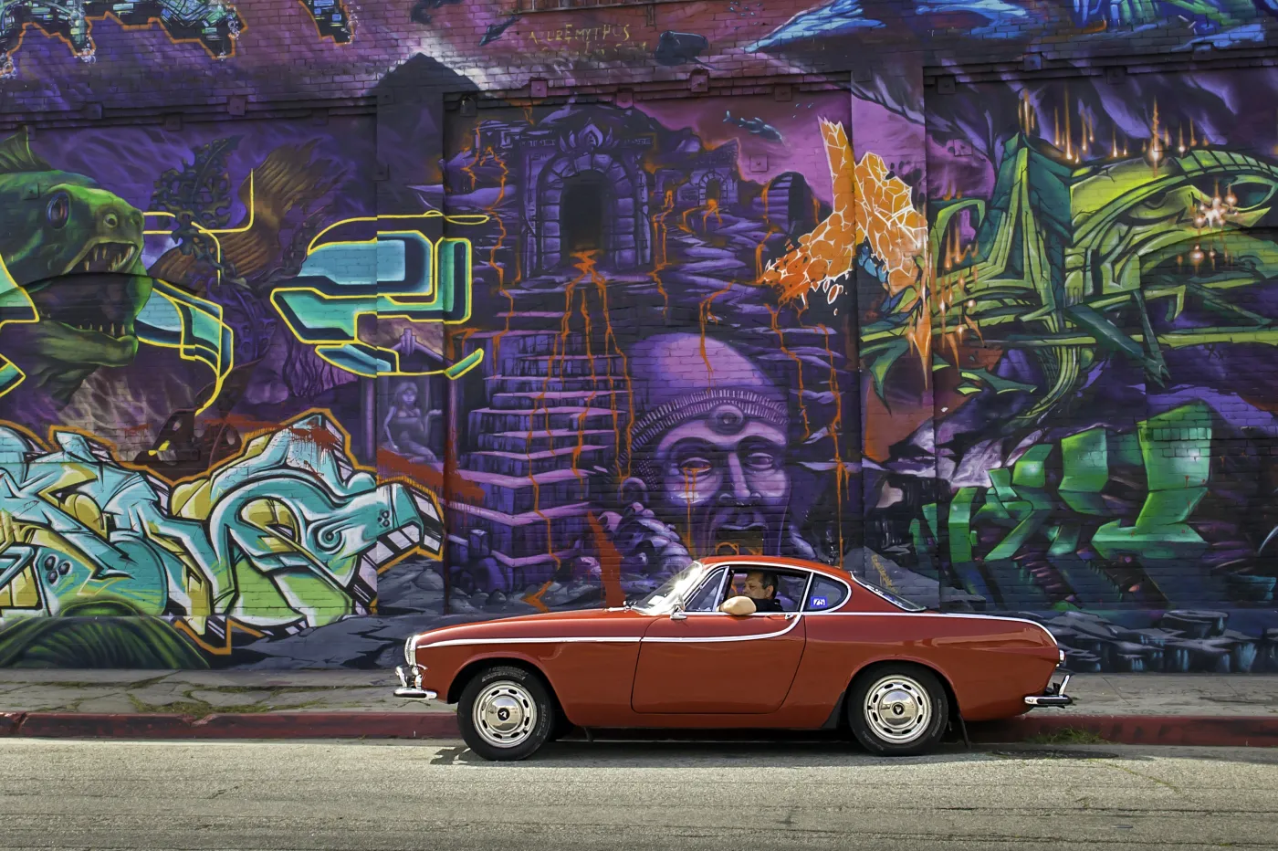 5107767-49591-2-1.jpg