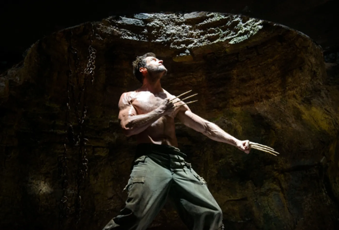5234391-wolverine.jpg