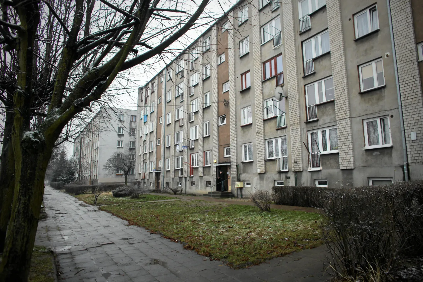5856061-img-0202.jpg