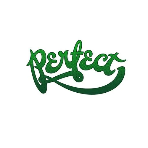 4817054-perfect.jpg