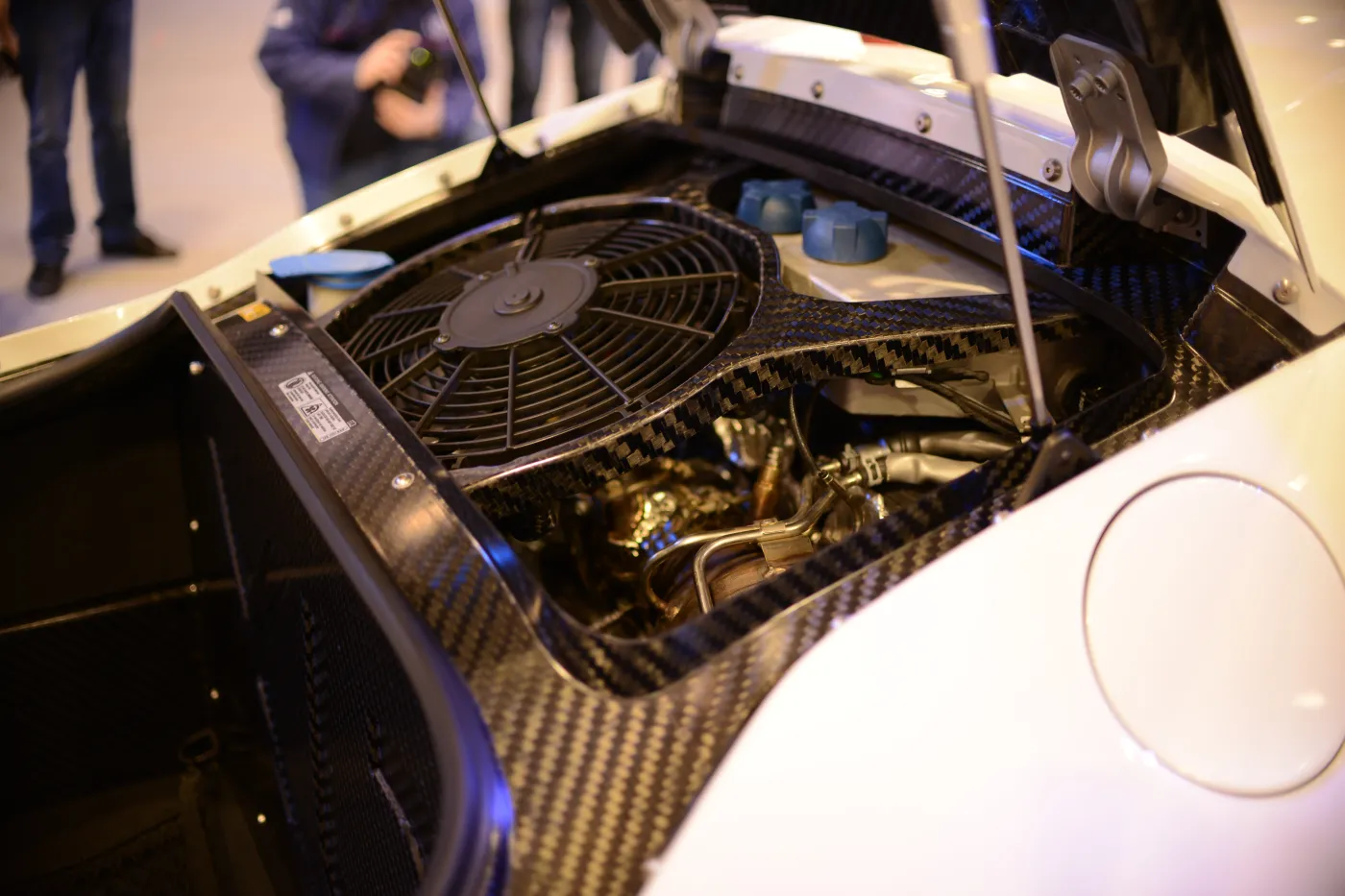 6103772-dsc-8635.jpg