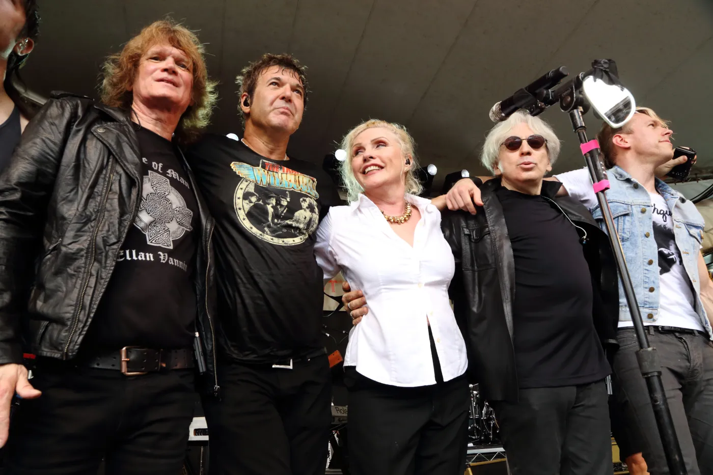 6205174-blondie.jpg