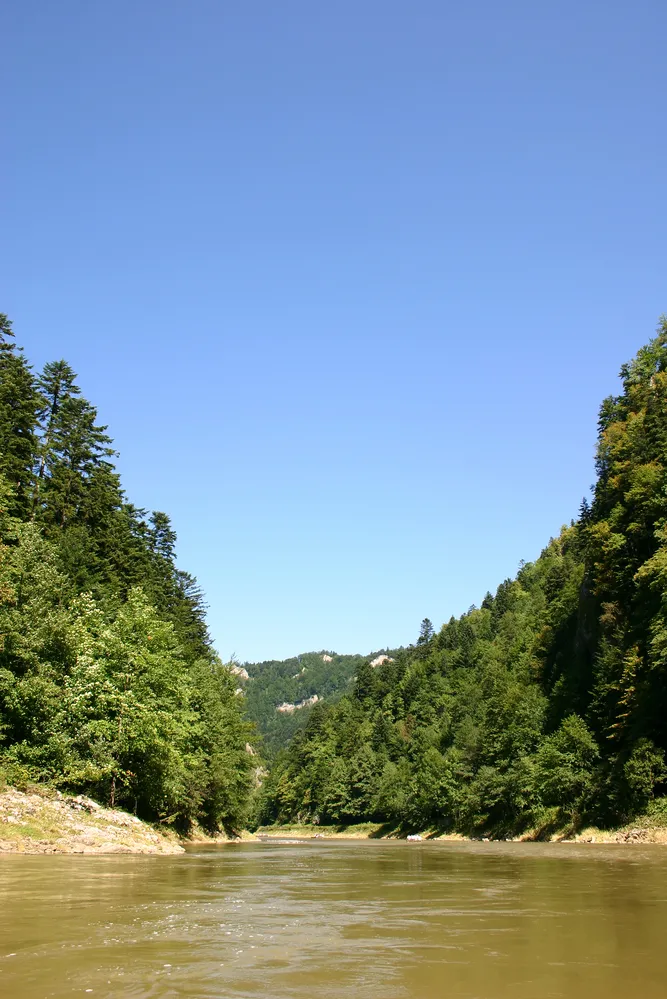 3287846-szczawnica.jpg