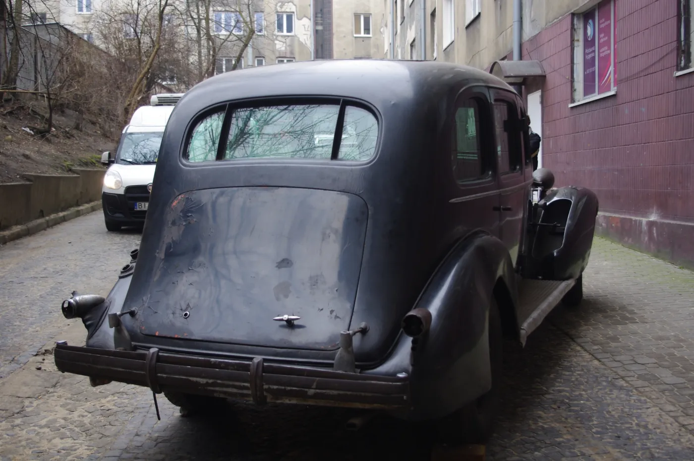 6019699-imgp7578.jpg