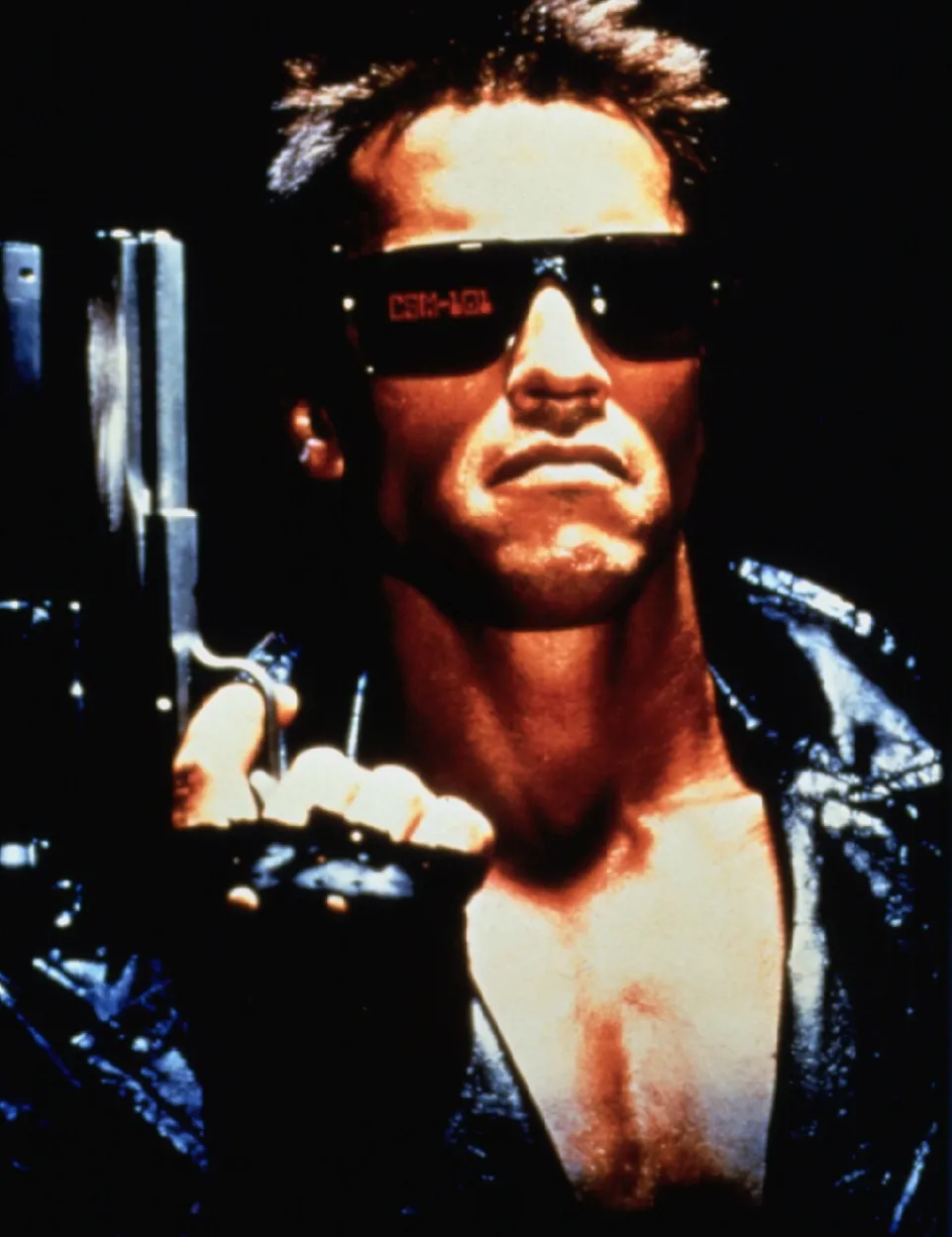 6008969-terminator.jpg