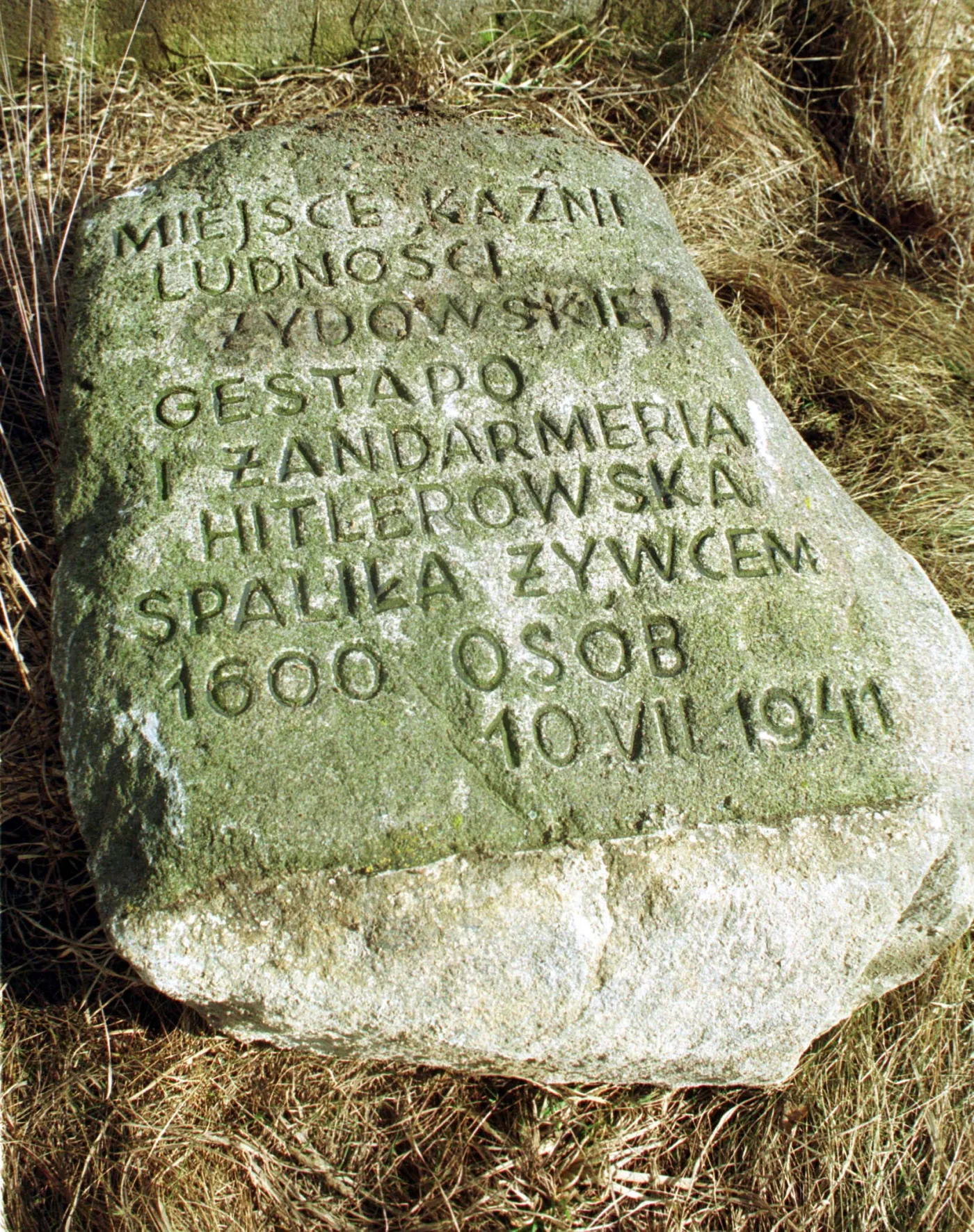 6553719-jedwabne.jpg