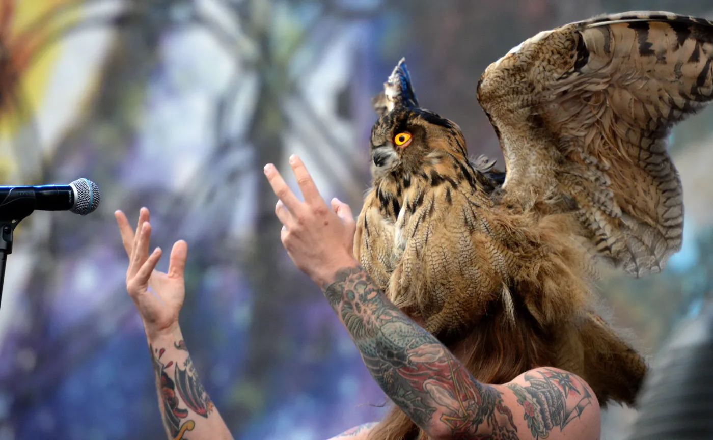 6560587-kvelertak.jpg