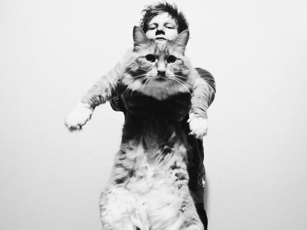 Ed Sheeran