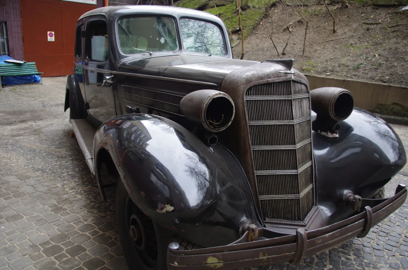 6019670-imgp7576.jpg