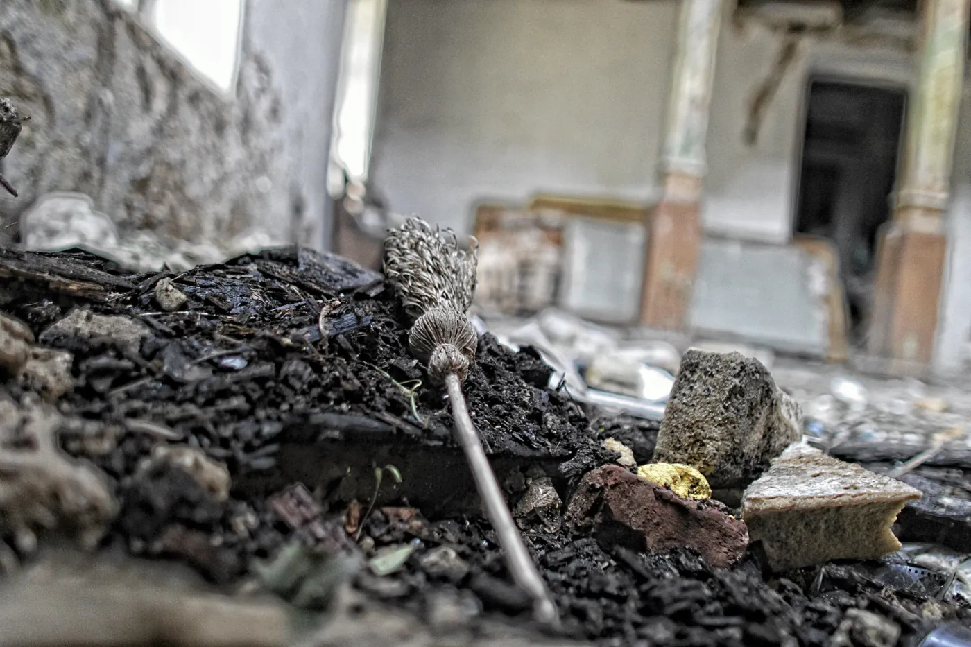 7100526-sosnowiec.jpg