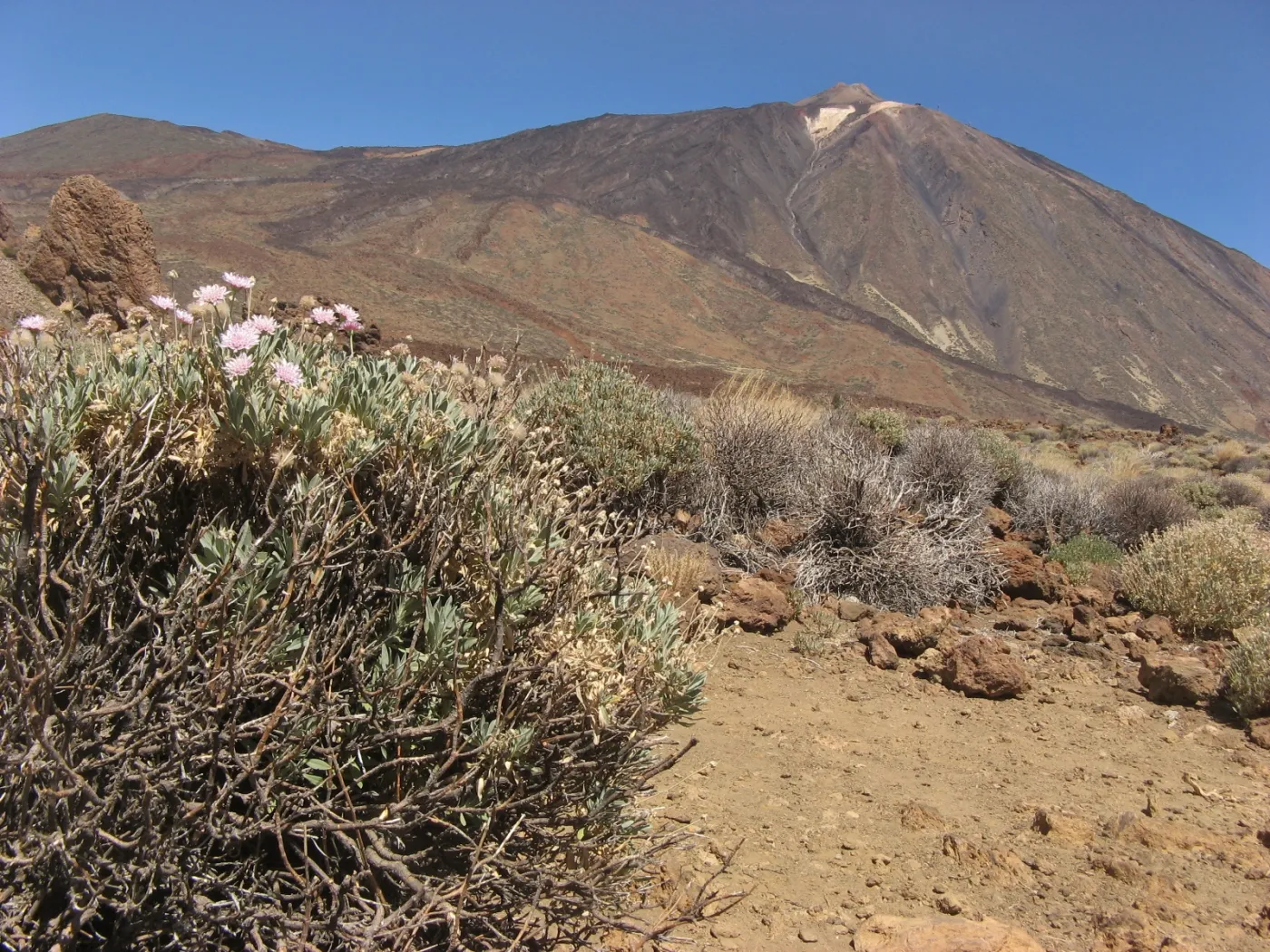 6972526-teneryfa.jpg