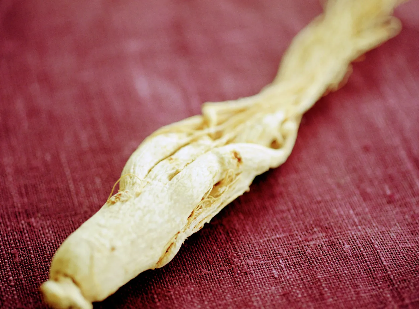 żeń-szeń